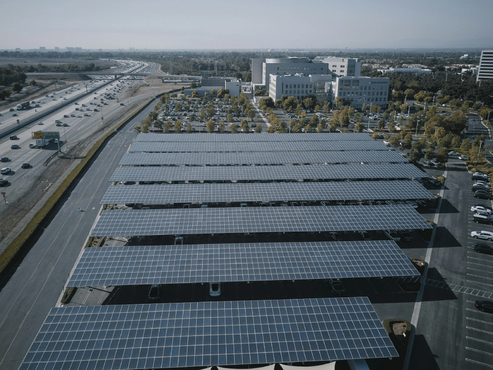 Sustainability Aces